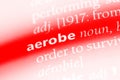 aerobe Royalty Free Stock Photo