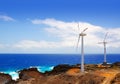 Aerogenerator windmills in front of ocean sea