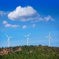 Aerogenerator windmills in the mountain top Royalty Free Stock Photo