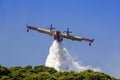 Aeroplane canadair water forest fire