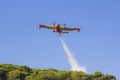 Aeroplane canadair water forest fire