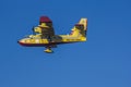Aeroplane canadair water forest fire Royalty Free Stock Photo