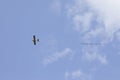 Aeroplane in Warsaw during the celebration of 75th anniversary of Warsaw Uprising Royalty Free Stock Photo