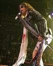 Aerosmith performs in concert