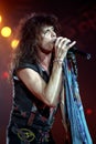 Aerosmith 1993, Steven Tyler during the concert