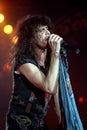 Aerosmith 1993 Steven Tyler during the concert