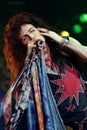 Aerosmith 1993 Steven Tyler during the concert