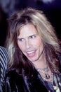 Aerosmith , Steven Tyler at the MTV Europe Music Awards Royalty Free Stock Photo