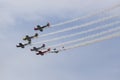 Aerostars aerobatic display team in YAK-50s