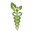 Aesculapius vector abstract illustration created using snakes and green leaves, Caduceus symbol.
