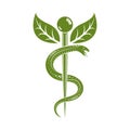 Aesculapius vector abstract illustration created using snakes and green leaves, Caduceus symbol.