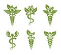 Aesculapius vector abstract illustrations collection, Caduceus symbols composed with green leaves and bird wings for use in