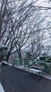 An aesthethic chair under winter tree and snow falling down