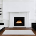 Aesthetic Appeal: Contemporary Living Room with a Cozy Fireplace