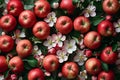 Aesthetic Apple flowers plate nature. Generate Ai Royalty Free Stock Photo
