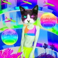 Contemporary art collage. Kitty Beach Mood. Zine culture concept Royalty Free Stock Photo