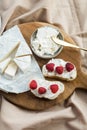 Aesthetic breakfast camembert, cream cheese and raspberries