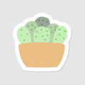 Aesthetic cactus sticker design