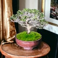 Aesthetic Delights: Tiny Bonsai Trees on Rustic Wooden Tables