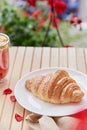 Aesthetic french croissant on the plate on the garden terrace. Copy space.