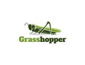 Aesthetic Grasshopper