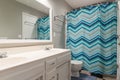 Aesthetic grey bathroom with a white toilet, sink and a blue shower curtain