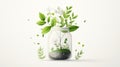 Aesthetic Jar Filled with Lush Green Plants and Colorful Rocks Creating a Natural Minimalist Home Decor Display Royalty Free Stock Photo
