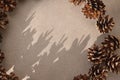 Aesthetic lifestyle natural winter holiday banner. Pine brown cones asymmetric frame on neutral taupe beige background