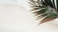 Aesthetic palm leaf shadow on sand background texture Royalty Free Stock Photo