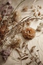 Aesthetic product background with fabric and dried flowers.