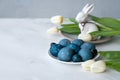 Aesthetic spring traditional Easter holiday table decoration, plate with blue colored eggs, bunny figurine, white tulip flowers on Royalty Free Stock Photo