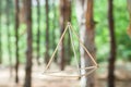 Aesthetic Tetrahedral Metal Decor Element Amidst a Forest Setting