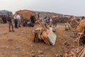AFAR, ETHIOPIA - MARCH 26, 2019: Tourists with camels at Erta Ale volcano crater rim in Afar depression, Ethiop