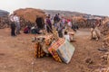 AFAR, ETHIOPIA - MARCH 26, 2019: Tourists with camels at Erta Ale volcano crater rim in Afar depression, Ethiop