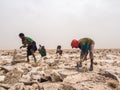 Afar men mining salt from salt flats in Afar region, Danakil Depression, Ethiopia.