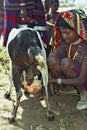 Afar teen milking goat in traditional colorful dress