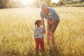 Affectionate grandfather spends free time with his small granddaughter, stroll together on green field, pick up camomiles, have go