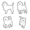 Affenpinscher Animal Vector Illustration Hand Drawn Cartoon Art Royalty Free Stock Photo