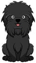 Affenpinscher Cartoon Dog Royalty Free Stock Photo