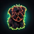 Affenpinscher. Neon outline icon with a light effect