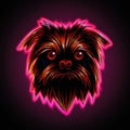 Affenpinscher. Neon outline icon with a light effect