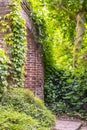 Afferden, Limburg, Netherlands - May 20, 2020: Old overgrown entrance gate as entrance to the local cemetery