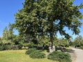 Affoltern Cemetery Park or Park of the Cemetery Affoltern oder Friedhofspark Affoltern - Zurich or Zuerich