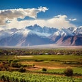 Affordable Beauty: Mendoza, Argentina - Vineyards, Mountains, and Culture