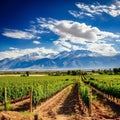 Affordable Beauty: Mendoza, Argentina - Vineyards, Mountains, and Culture