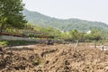 afforest in Shitang village