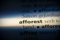 Afforest Royalty Free Stock Photo