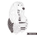 Afghan hound. Coloring book for adult Royalty Free Stock Photo