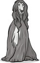 Afghan hound dog cartoon illustration