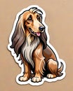 Afghan Hound dog clipart cutout